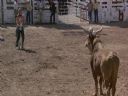 Filmo�ercy - jaki to film? :::klaps 344::: - Enc0re