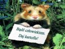Weso�Kraczma [cz. 54] Tylko najlepsi ju� si� nie ucz� ;) - sergi__