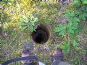 Aparaty cyfrowe: zdj�cia, jaki kupi�, porady : cz. 161 - SULIK