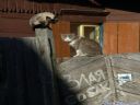 Dziwne odg�osy... - Chasm