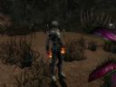 Guild Wars | W�tek Oficjalny | Cz�� 75 - Deead