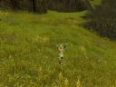 Guild Wars | W�tek Oficjalny | Cz�� 75 - False