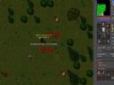 Tibia - cz�� 15 - mnichu3001
