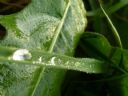 Aparaty cyfrowe: zdj�cia, jaki kupi�, porady : cz. 162 - Gotman