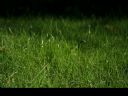 Aparaty cyfrowe: zdj�cia, jaki kupi�, porady : cz. 162 - Mogur