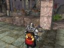 Guild Wars | W�tek Oficjalny | Cz�� 75 - sokoip