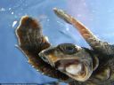 Ddw Cwtwwszdnk. I pozdrowi� wszystkich! (736) - 116 - Stitch001