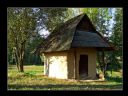 Aparaty cyfrowe: zdj�cia, jaki kupi�, porady : cz. 162 - Dymion_N_S