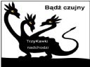 Karczma "Pod Poetyckim Smokiem" 1543 - TrzyKawki