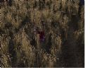 Warhammer Online: AoR (WAR) cz. 10 - Pochmurny