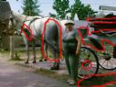 Aparaty cyfrowe: zdj�cia, jaki kupi�, porady : cz. 197 - Zemun