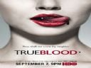 TRUE BLOOD - Nowy serial - kurzew