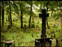 Aparaty cyfrowe: zdj�cia, jaki kupi�, porady : cz. 197 - Jerryzzz Resurrected II