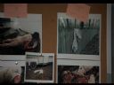 Filmo�ercy - jaki to film? :::kadr 378::: - sparrhawk