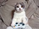 Xbox 360 [Cz�� 87] - tosiek2142