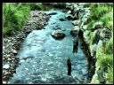 Aparaty cyfrowe: zdj�cia, jaki kupi�, porady : cz. 198 - ResOOrt