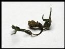 Aparaty cyfrowe: zdj�cia, jaki kupi�, porady : cz. 198 - Shoggoth