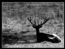Aparaty cyfrowe: zdj�cia, jaki kupi�, porady : cz. 199 - m1a87z
