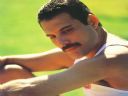 Freddie Mercury - Sanitarium
