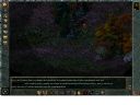 Sagi Baldur's Gate (BG I cz 200, BG II cz 183) i IwD (cz 31)  - kresj