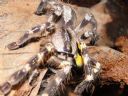 Aparaty cyfrowe: zdj�cia, jaki kupi�, porady : cz. 215 - Killer1986rr