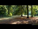 Aparaty cyfrowe: zdj�cia, jaki kupi�, porady : cz. 215 - ewelina_m