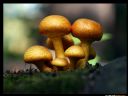 Aparaty cyfrowe: zdj�cia, jaki kupi�, porady : cz. 215 - ewelina_m