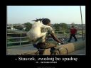 Staszek, zwolnij bo spadn - Pszczoa