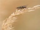 Aparaty cyfrowe: zdj�cia, jaki kupi�, porady : cz. 215 - N3