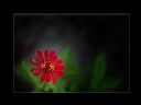 Aparaty cyfrowe: zdj�cia, jaki kupi�, porady : cz. 216 - ResOOrt