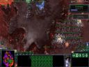 Starcraft 2: Wings of Liberty��||#3 - nagytow