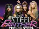 mieszmy metal (muzyka) - POLECAM - Snakepit