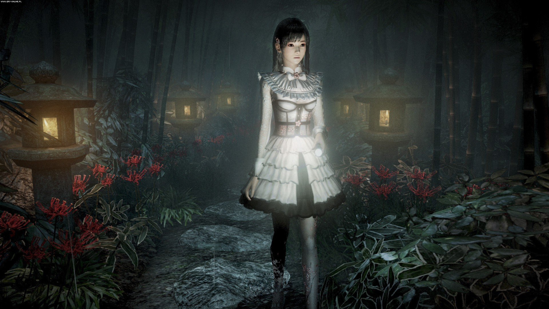 fatal frame project zero maiden of black water pc download free
